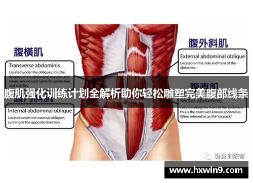 腹肌强化训练计划全解析助你轻松雕塑完美腹部线条