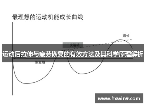 运动后拉伸与疲劳恢复的有效方法及其科学原理解析